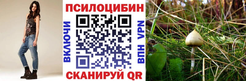 Псилоцибиновые грибы Psilocybine cubensis Сорочинск
